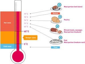 slika termometar salmoneloza